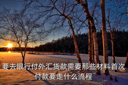 要去銀行付外匯貨款需要那些材料首次付款要走什么流程