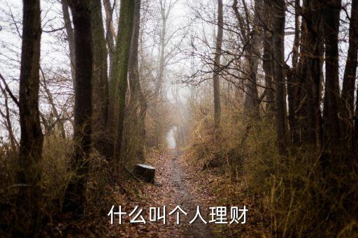 什么是個人證券理財產(chǎn)品，什么是券商理財產(chǎn)品