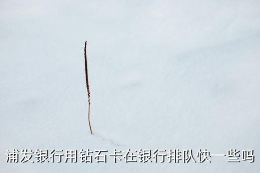 浦發(fā)銀行用鉆石卡在銀行排隊(duì)快一些嗎
