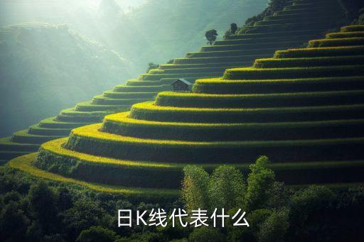 日K線代表什么
