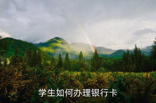 學(xué)生如何辦理銀行卡