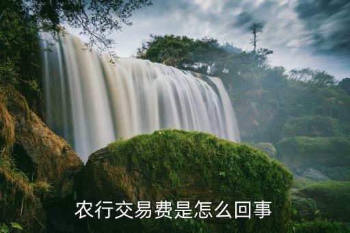 農(nóng)行代收交易費(fèi)是什么意思，農(nóng)行交易費(fèi)是怎么回事