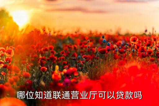 哪位知道聯(lián)通營(yíng)業(yè)廳可以貸款嗎