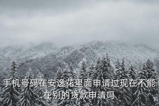 手機號碼在安逸花里面申請過現(xiàn)在不能在別的貸款申請嗎