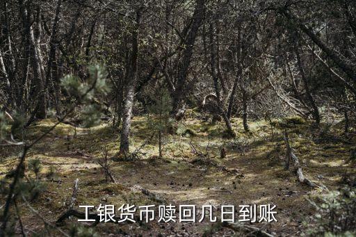 工銀貨幣贖回幾日到賬