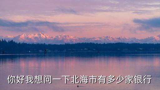 你好我想問(wèn)一下北海市有多少家銀行