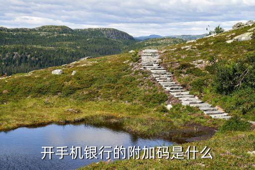 開手機(jī)銀行的附加碼是什么