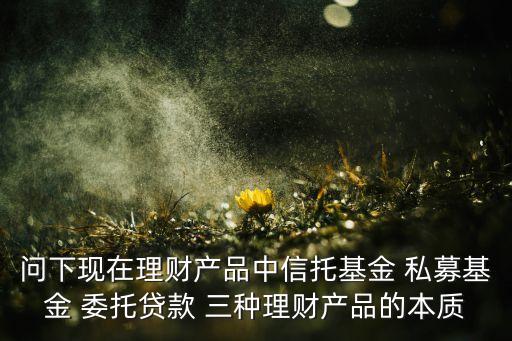 問下現(xiàn)在理財產(chǎn)品中信托基金 私募基金 委托貸款 三種理財產(chǎn)品的本質(zhì)