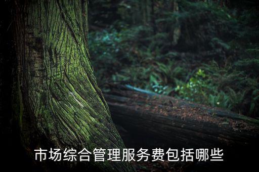 市場綜合管理服務費包括哪些