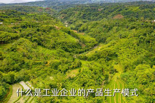什么是產(chǎn)品模式，商品模式是什么意思