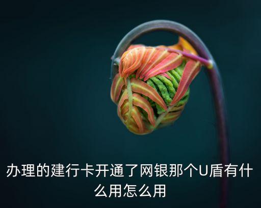 建行u盾有什么用，建設(shè)網(wǎng)上銀行的u盾干什么用的