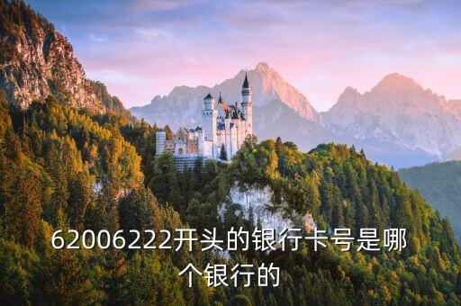 620013開頭是什么銀行，6222020302 開頭的 這個是哪個銀行的帳號什么地方的