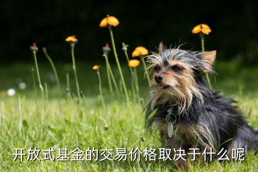 基金的價(jià)格取決于什么意思，開(kāi)放式基金的交易價(jià)格主要取決于什么