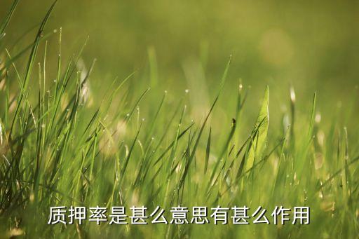 質(zhì)押率是甚么意思有甚么作用