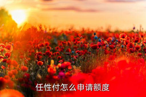 任性付怎么申請額度