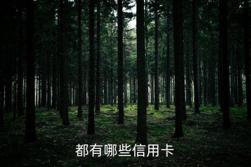 都用的什么信用卡，都有哪些信用卡