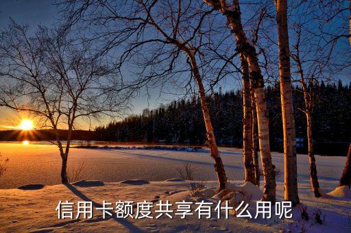信用額度共享有什么用，信用卡額度共享有什么用呢