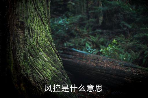 風(fēng)控和實(shí)調(diào)是什么意思，什么叫風(fēng)控