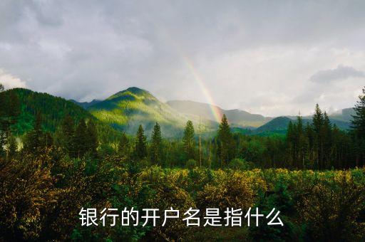 民生銀行戶名是什么意思，銀行的開戶名是指什么