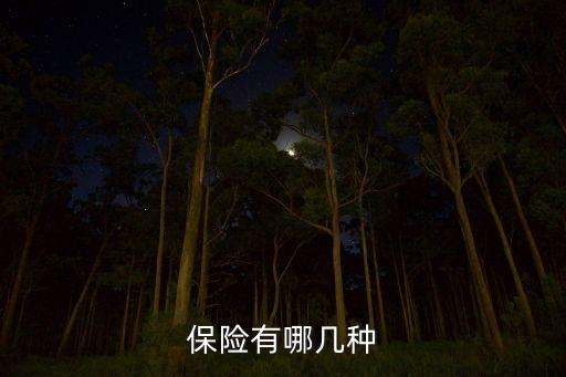 保險(xiǎn)有什么品種，保險(xiǎn)有哪幾種