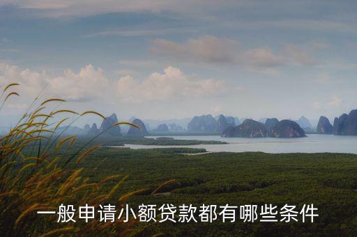 一般申請小額貸款都有哪些條件