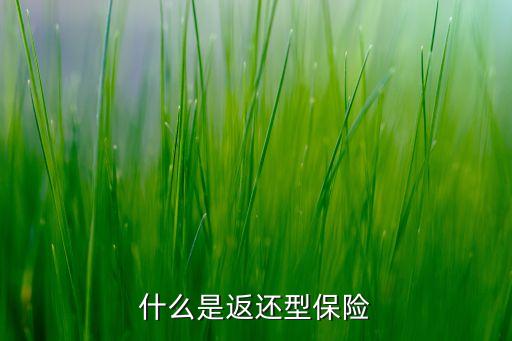 什么是返還型保險