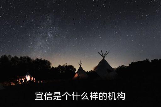 宜信平臺(tái)是什么意思，宜信是個(gè)什么樣的機(jī)構(gòu)