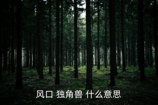 風(fēng)口 獨(dú)角獸 什么意思