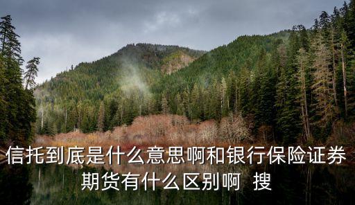 信托到底是什么意思啊和銀行保險證券期貨有什么區(qū)別啊  搜