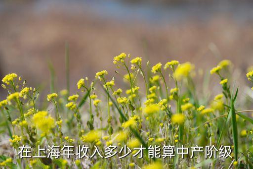 在上海什么算中產(chǎn)階級，在上海年收入20萬算是中產(chǎn)階層嗎