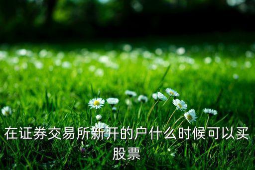 開了戶什么時(shí)候能買，開戶后幾天可以買股票