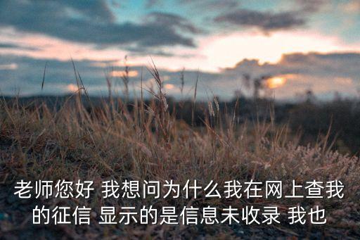 老師您好 我想問為什么我在網(wǎng)上查我的征信 顯示的是信息未收錄 我也