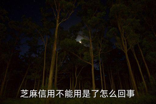 芝麻信用不能用是了怎么回事