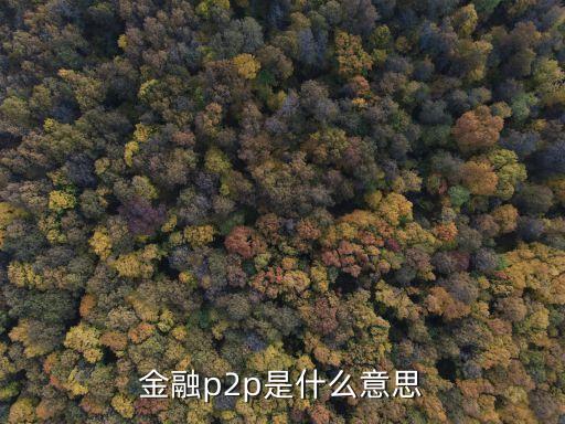 金融p2p是什么意思