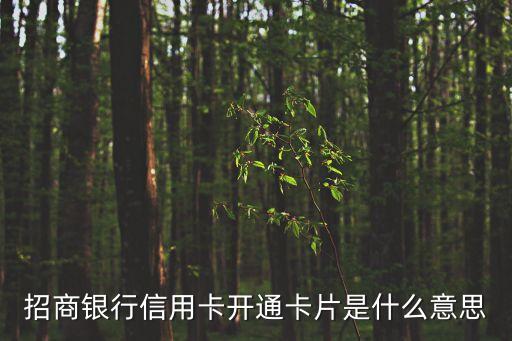招商銀行信用卡開通卡片是什么意思