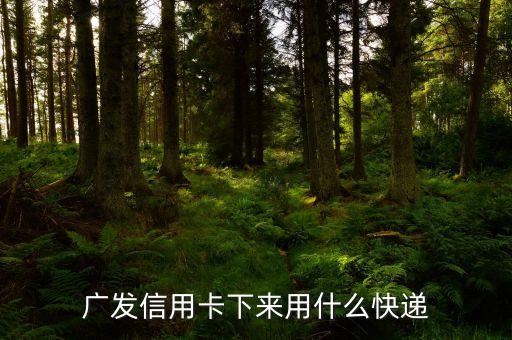 廣發(fā)信用卡寄什么快遞，廣發(fā)的信用卡發(fā)那個快遞