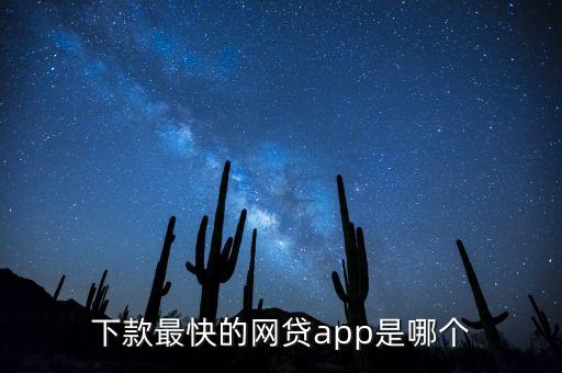 下款最快的網(wǎng)貸app是哪個