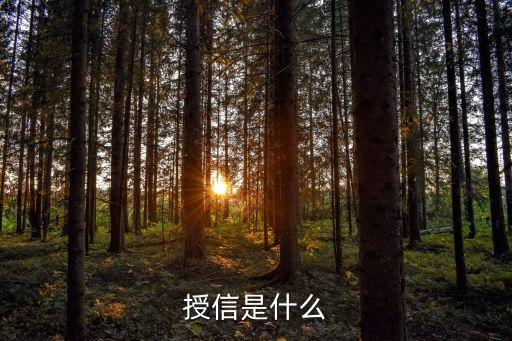 授信是什么