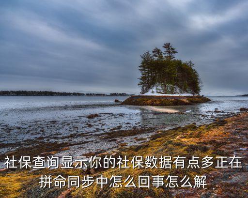 社保查詢顯示你的社保數(shù)據(jù)有點多正在拼命同步中怎么回事怎么解