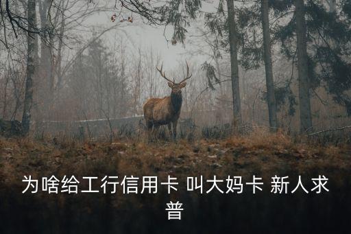 工商為什么叫大媽?zhuān)瑸樯督o工行信用卡 叫大媽卡 新人求普