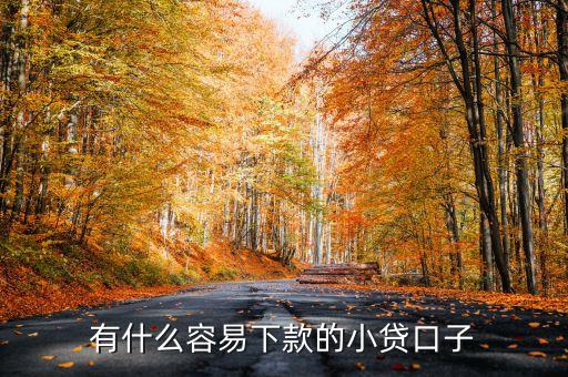 有什么容易下款的小貸口子