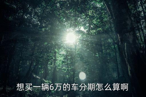 想買一輛6萬的車分期怎么算啊