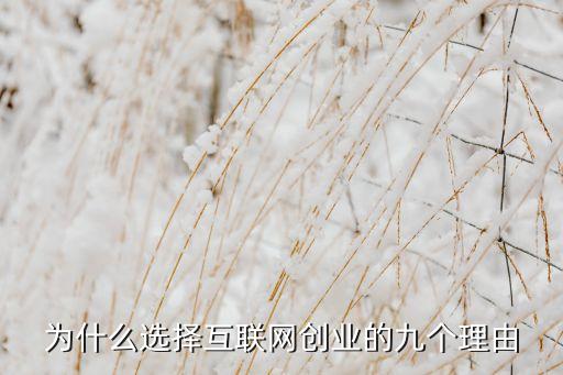 為什么選擇互聯(lián)網(wǎng)創(chuàng)業(yè)的九個理由