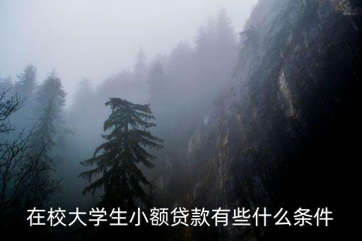 在校大學(xué)生小額貸款有些什么條件