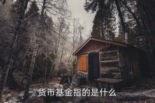 貨幣基金指的是什么