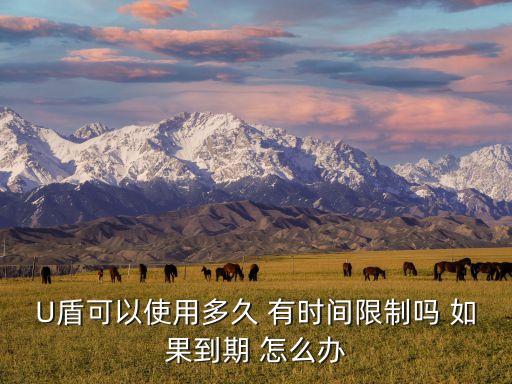 u盾過期又什么影響，U盾可以使用多久 有時間限制嗎 如果到期 怎么辦