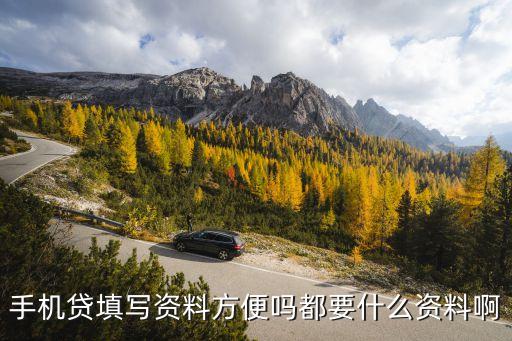 手機貸填什么資料嗎，手機貸借錢需要什么條件