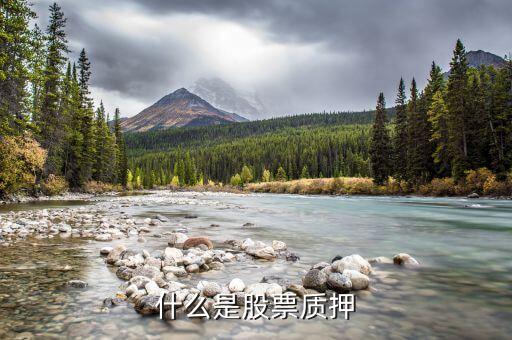 股票質(zhì)押入庫是什么意思，什么是股票質(zhì)押