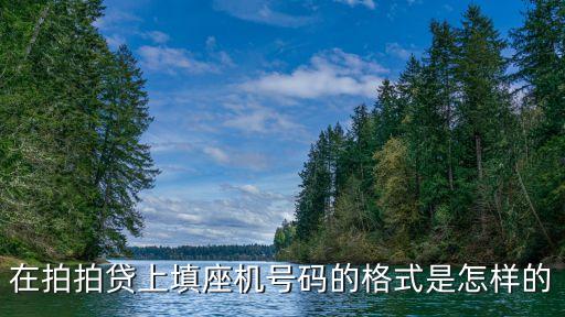 在拍拍貸上填座機號碼的格式是怎樣的