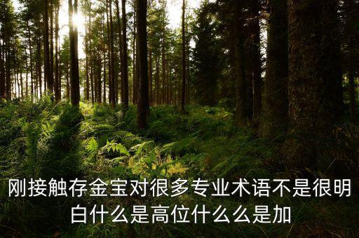 剛接觸存金寶對(duì)很多專業(yè)術(shù)語(yǔ)不是很明白什么是高位什么么是加